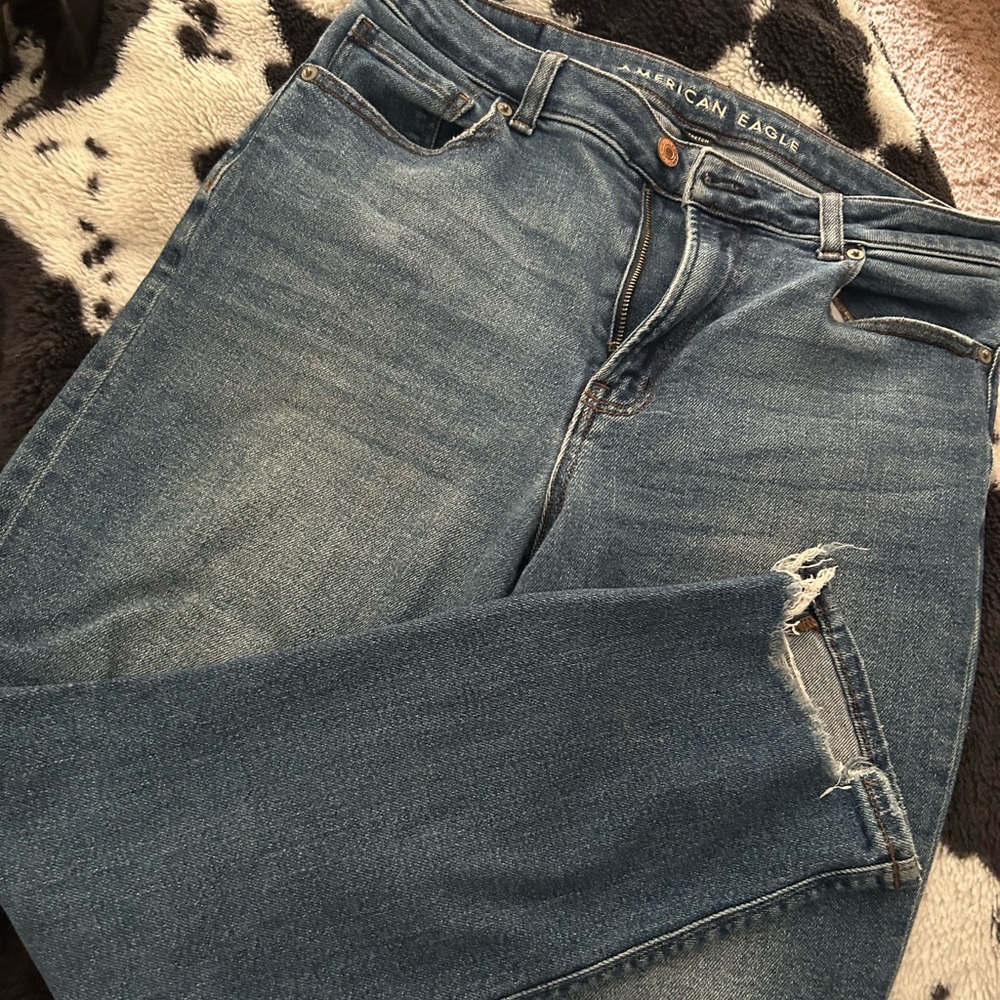 AE Mom Jeans